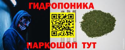прущие грибы Жуковский